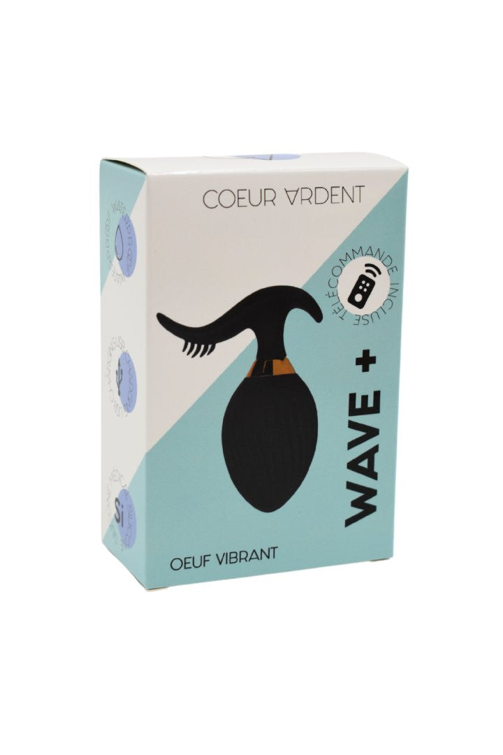 WAVE , Un Œuf vibrant noir USB avec stimulation clitoridienne, doté d'une télécommande
