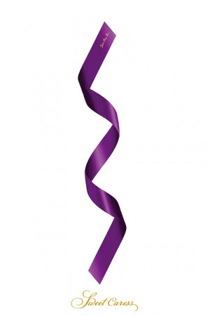 Bandeau BDSM satin pourpre
