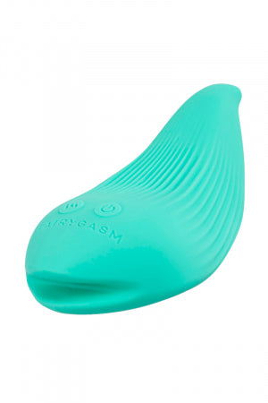 Mini vibro rechargeable DelightfulWave vert