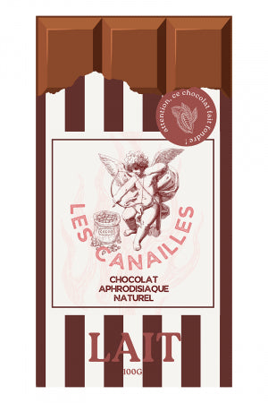 Chocolat au lait Tablette 100g