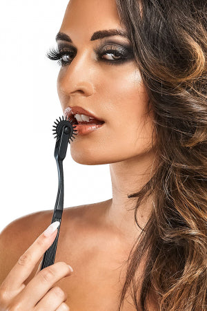 Roulette de Wartenberg en aluminium