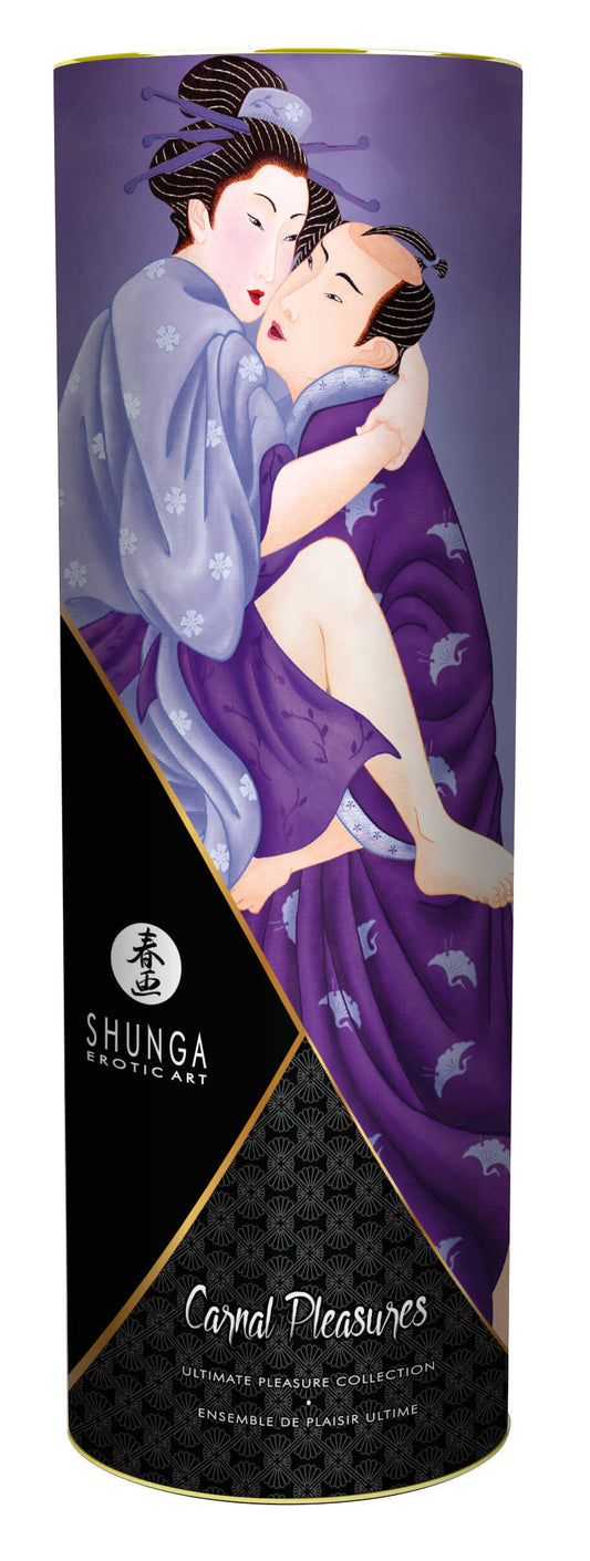 Kit Plaisirs charnels · Shunga · vue 2