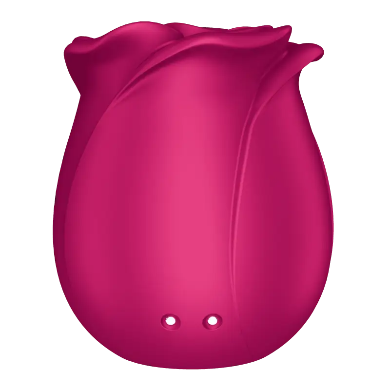 Vibromasseur clitoris Classic Blossom Pro 2 Satisfyer Rose: discret et silencieux  disponible chez LollyDoll