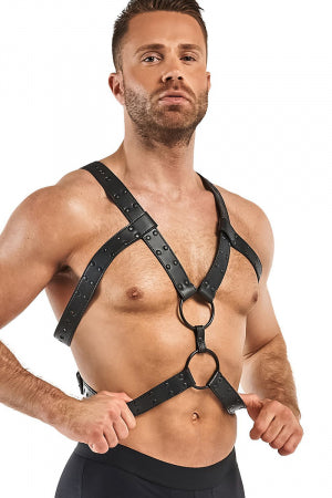 Harnais de bondage Rocco