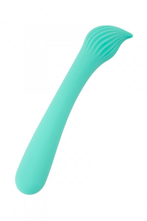 Vibro rechargeable Passionmania vert