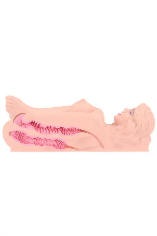 Modèle anatomique d’un torse de femme.