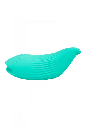 Mini vibro rechargeable DelightfulWave vert