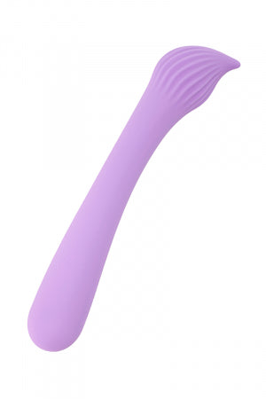 Vibro rechargeable Passionmania violet